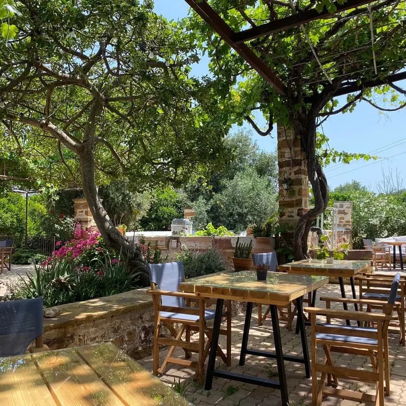 Shaded garden dining area beneath trees and vines at Voulamandis House in Chios